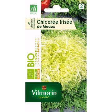 Endivie de Meaux Bio - Vilmorin