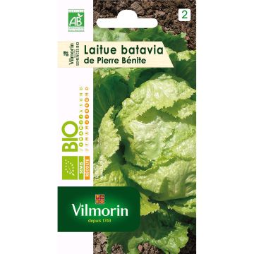 Bataviasalat Pierre Bénite Bio