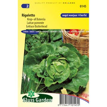 Kopfsalat Rigoletto
