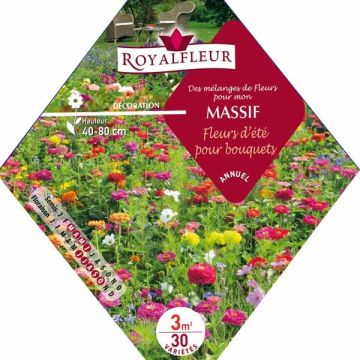 Mischung für Blumenbeet - Blumen für Sträuße - Beutel 3 m2
