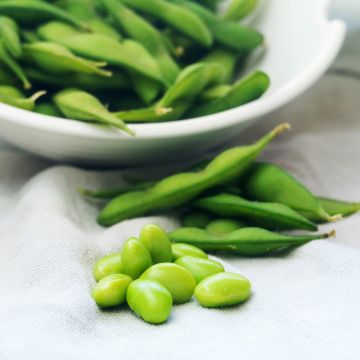 Sojabohne Fiskeby V - Glycine max