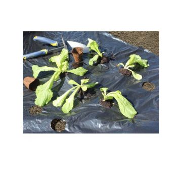 Vorperforierte schwarze Mulchfolie 50 Mikron 1,40 x 10 m