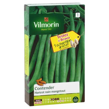Zwergbohne Contender - Vilmorin