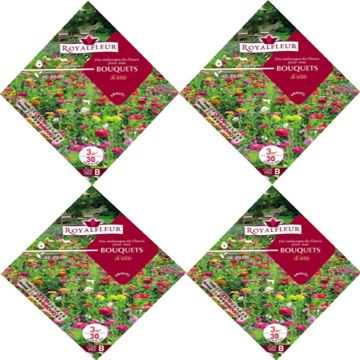 Sommer-Blumenmischung für Blumensträuße zum Aussäen - Beutel für 3 m2
