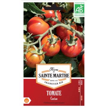 Kirschtomate Cerise Bio