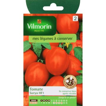 Tomate Surya - Vilmorin