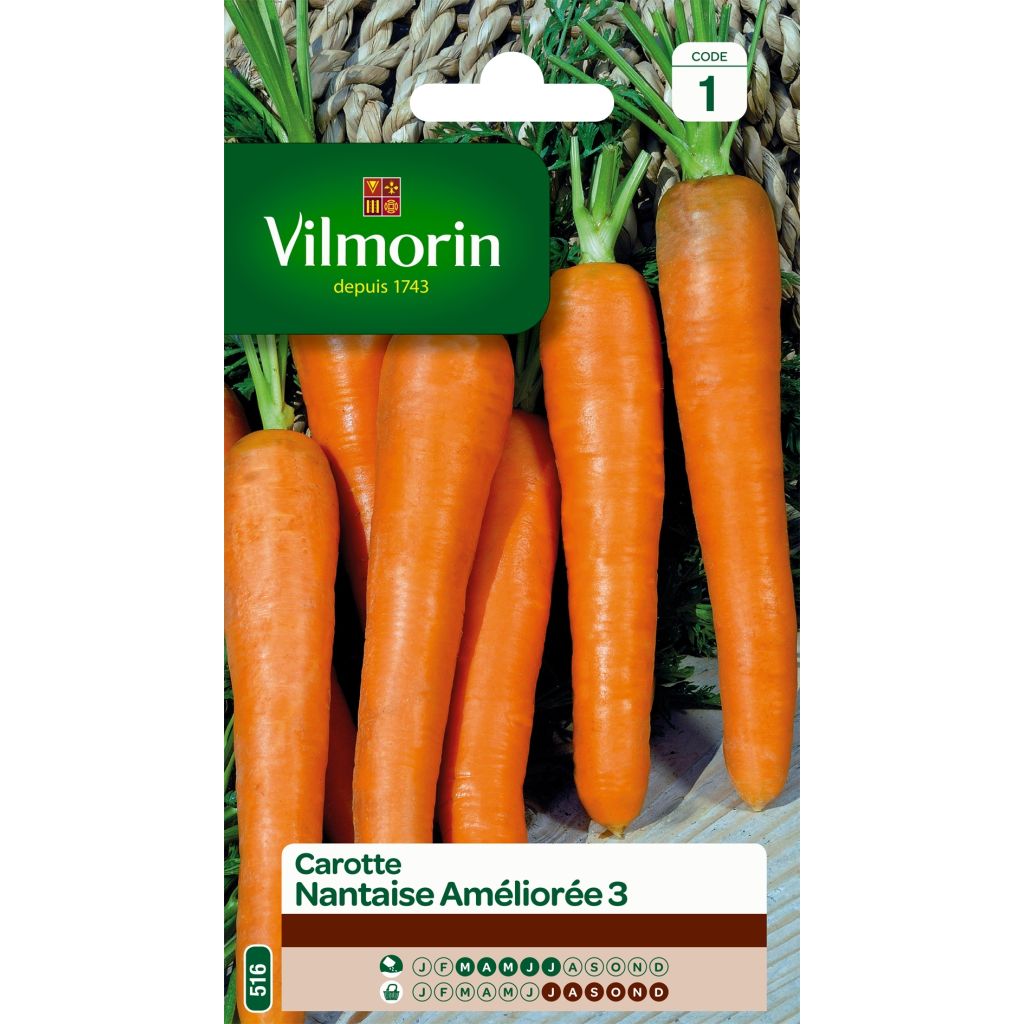 Möhre Nantaise améliorée 3