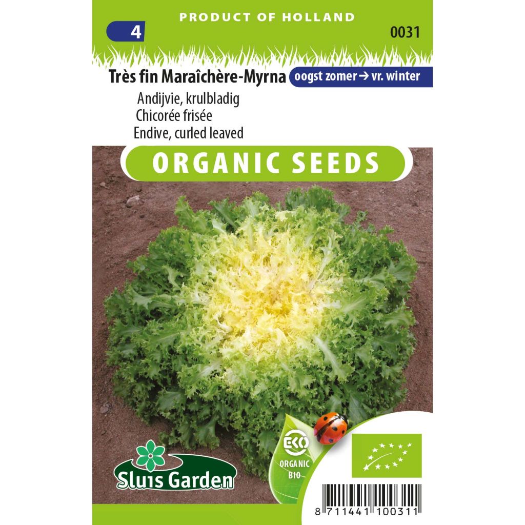 Endivie Myrna Bio
