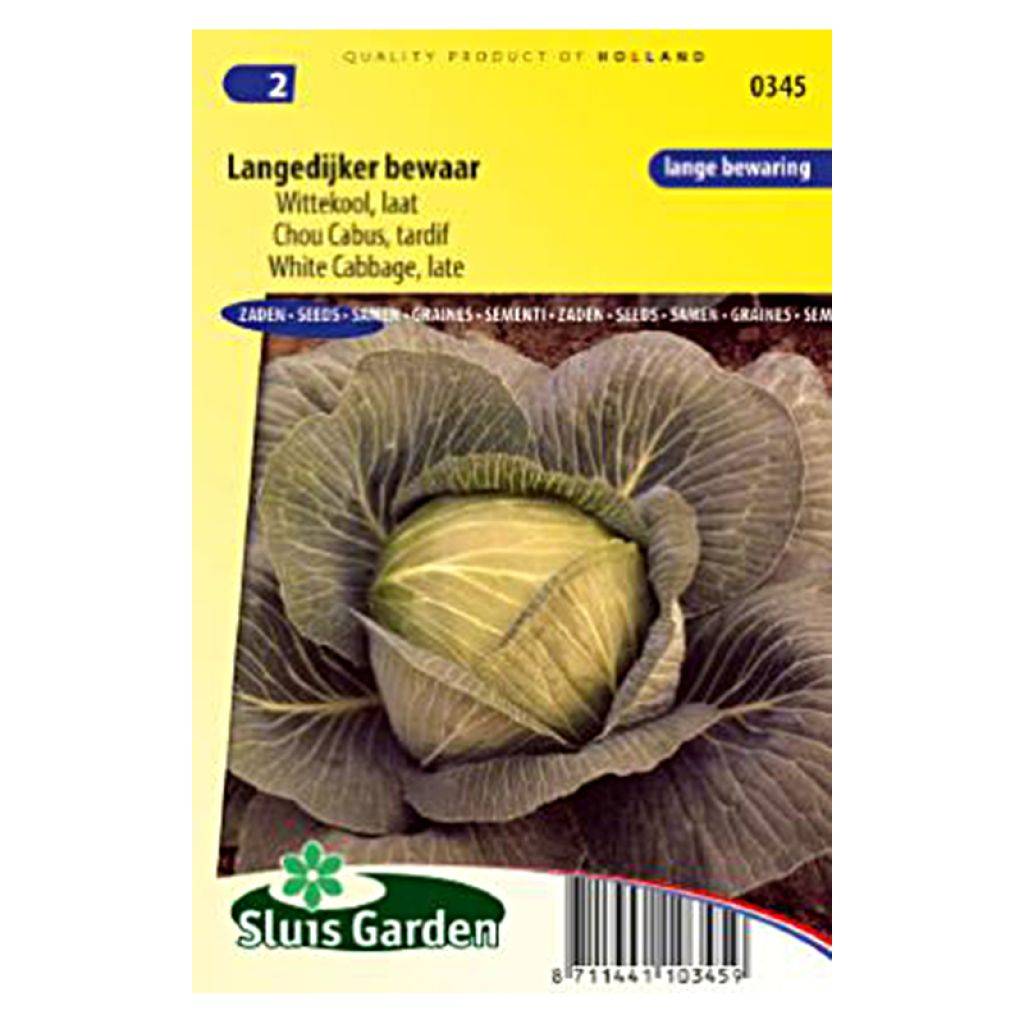Kopfkohl de Langedijker bewaar - Langedijk