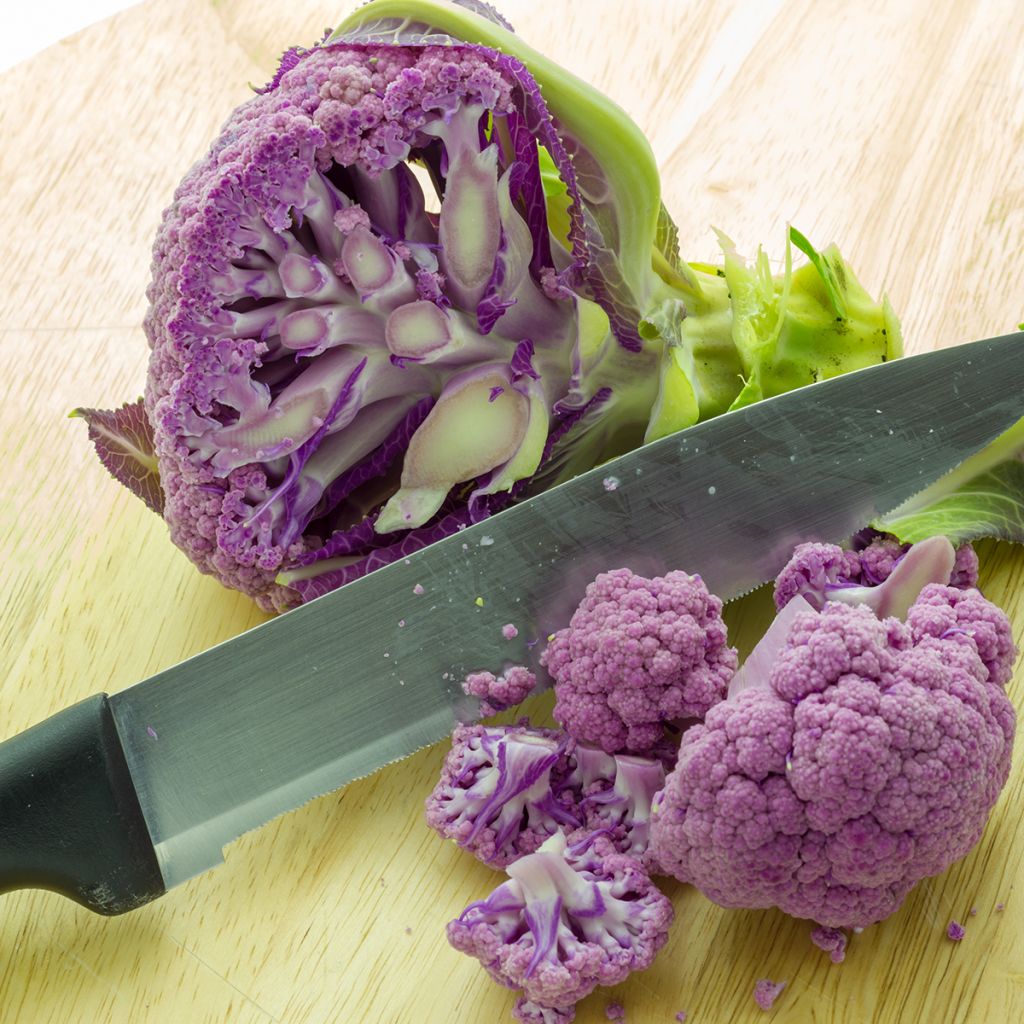 Blumenkohl Graffiti