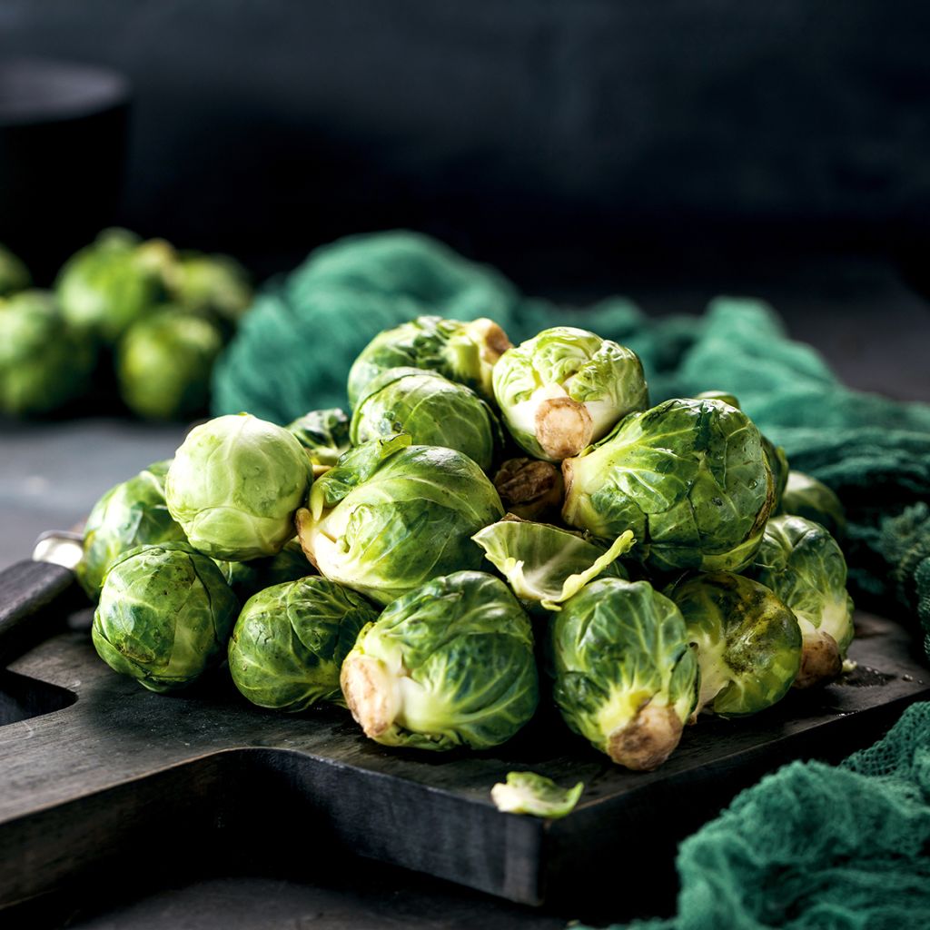 Rosenkohl de Rosny