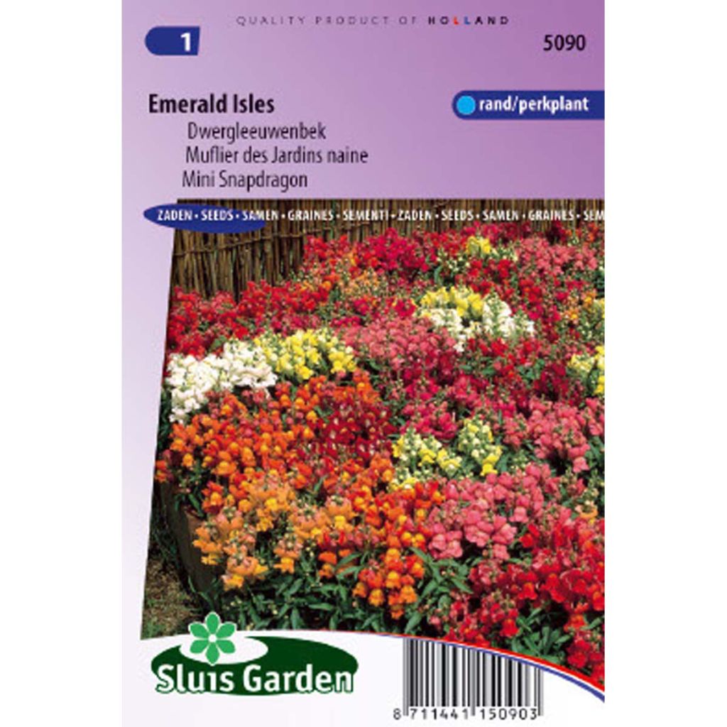 Löwenmäulchen Emerald Isles (Samen) - Antirrhinum