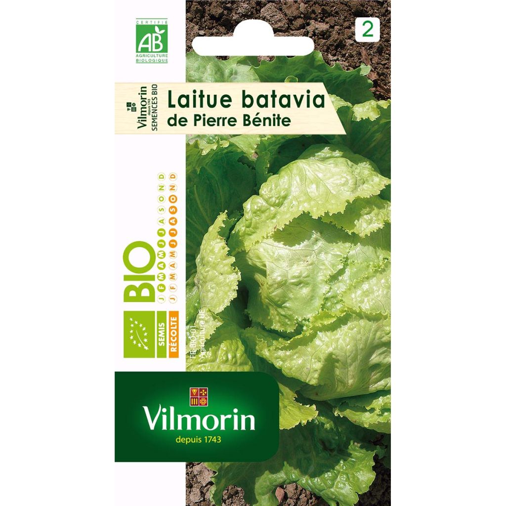 Bataviasalat Pierre Bénite Bio