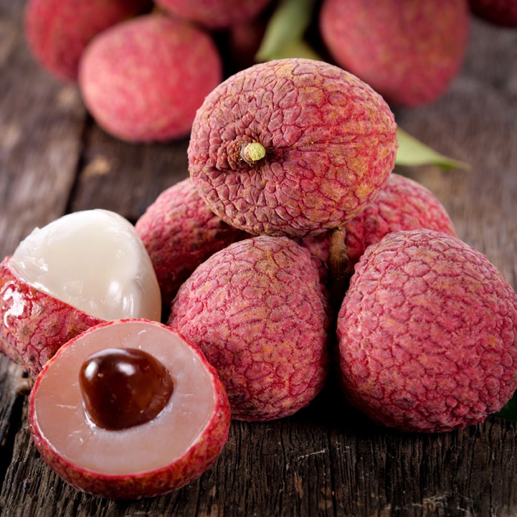Litchi chinensis Kwai May Pink - Litschibaum