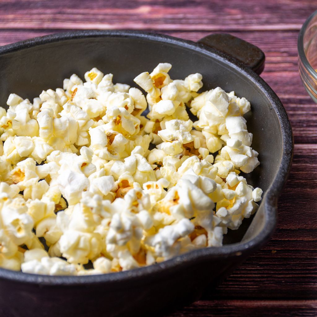 Mais Pop-corn Tom Pouce