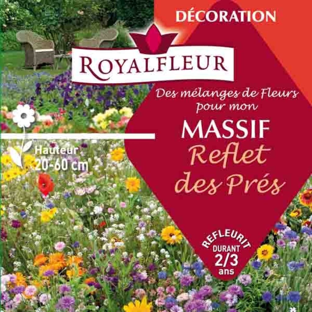 Mischung für Blumenbeete mit Wiesencharakter - Box für 8 m2