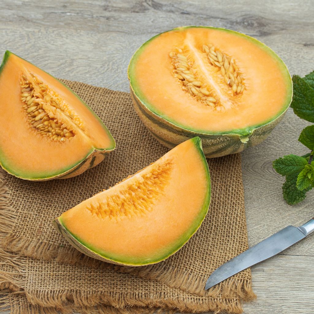 Melone Charentais