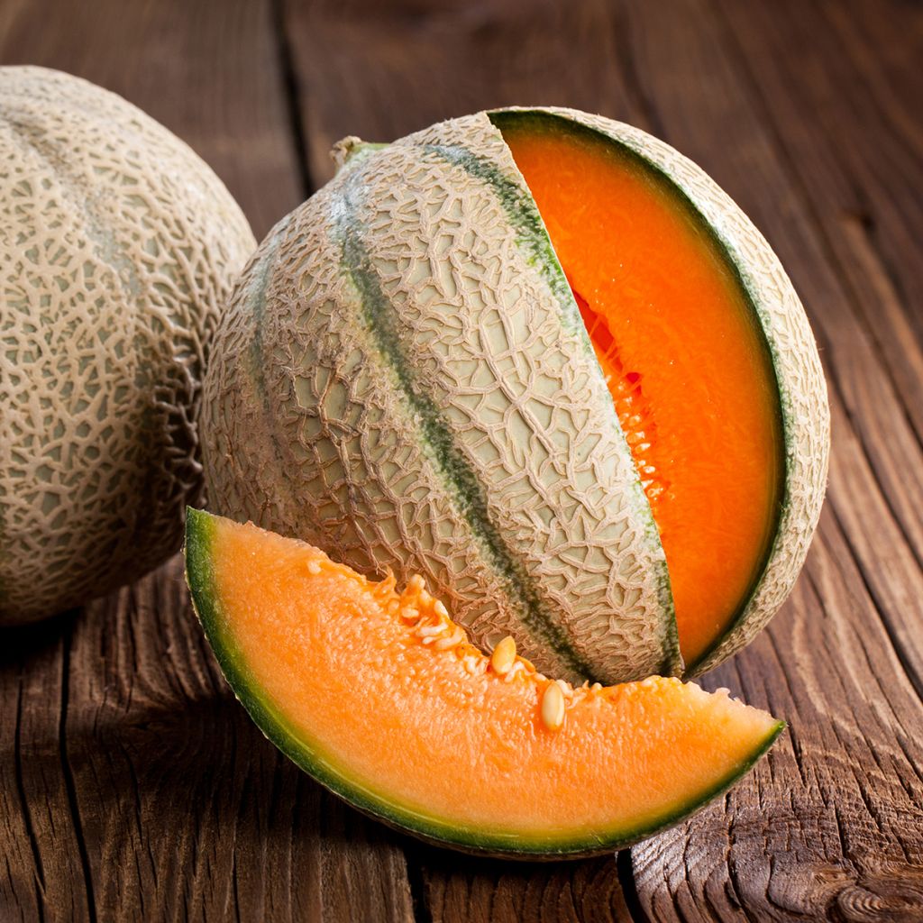Melone Charentais