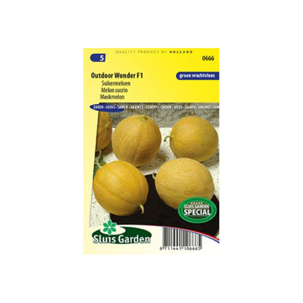 Melone Polidor