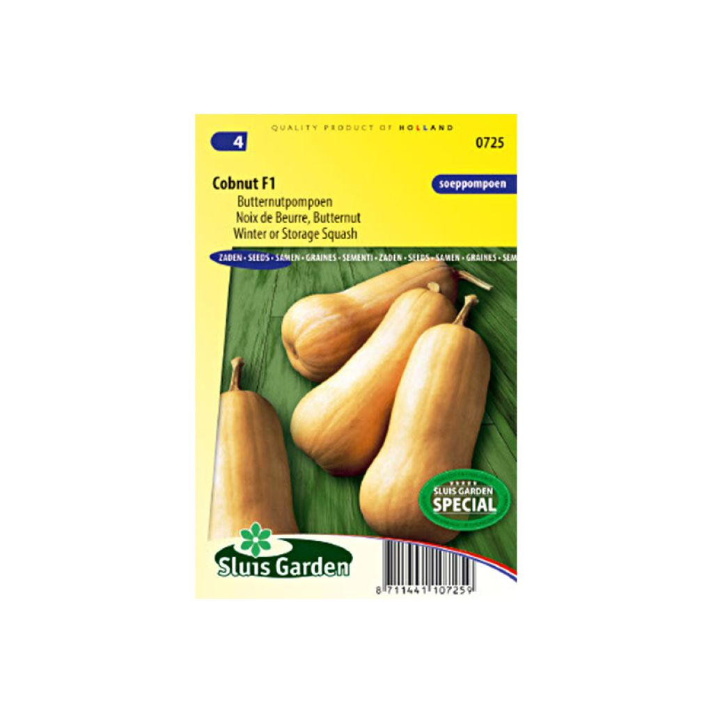 Moschus-Kürbis Noix de Beurre Cobnut F1