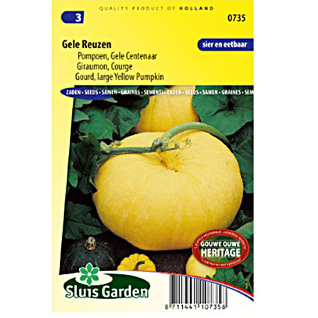 Riesen-Kürbis Gele Reuzen