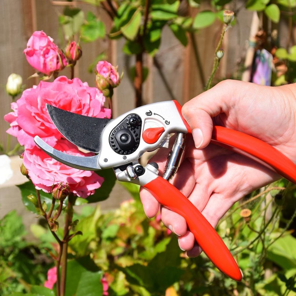 Hochwertige Premium-Aluminium-Gartenschere mit breiter Klinge von Spear & Jackson