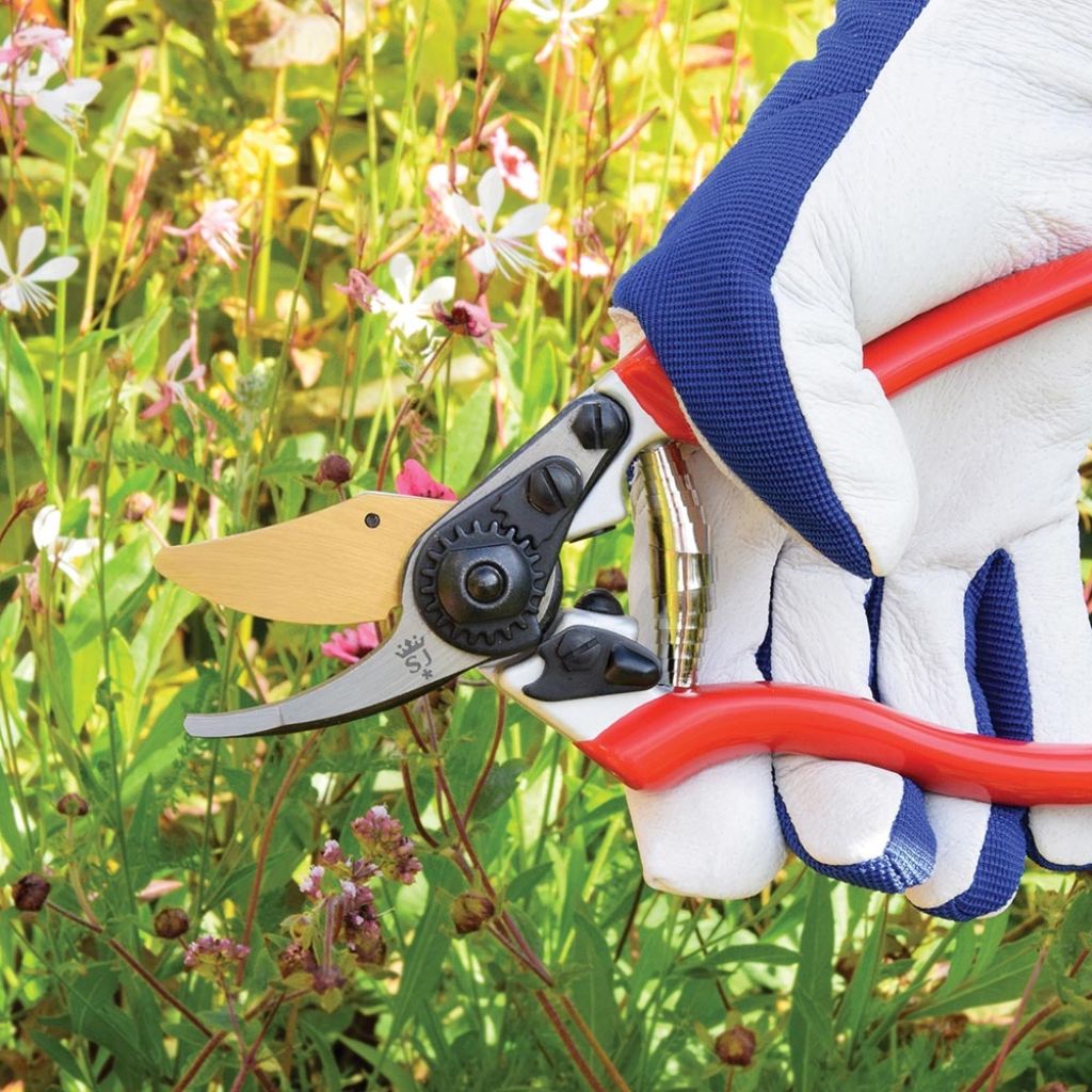 Professionelle Gartenschere mit kurzen Klingen und Titanbeschichtung von Spear & Jackson