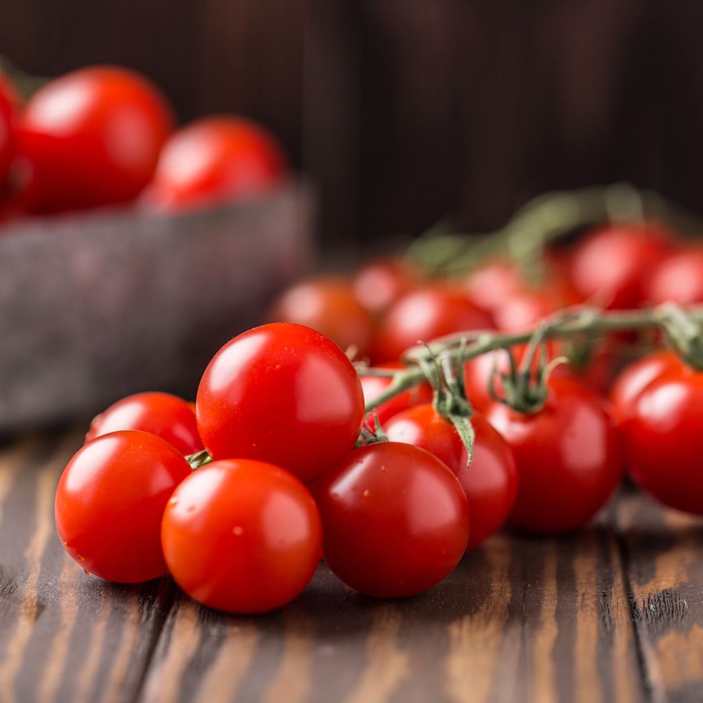 Kirschtomate cerise