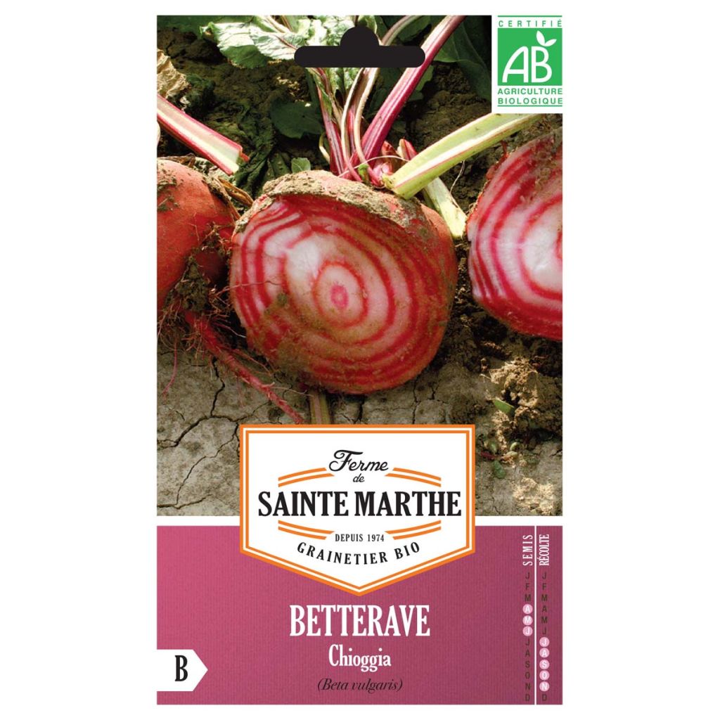 Rote Bete Chioggia Bio- Ferme de Sainte Marthe