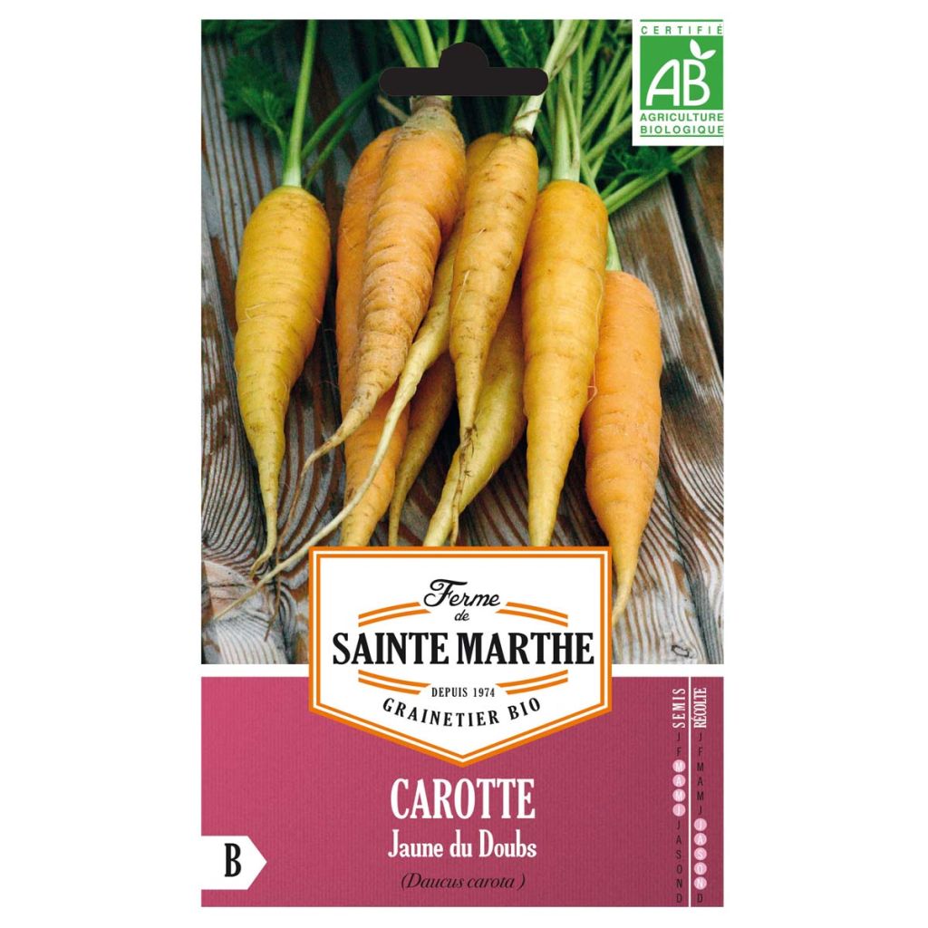 Möhre jaune du Doubs - Ferme de Sainte Marthe