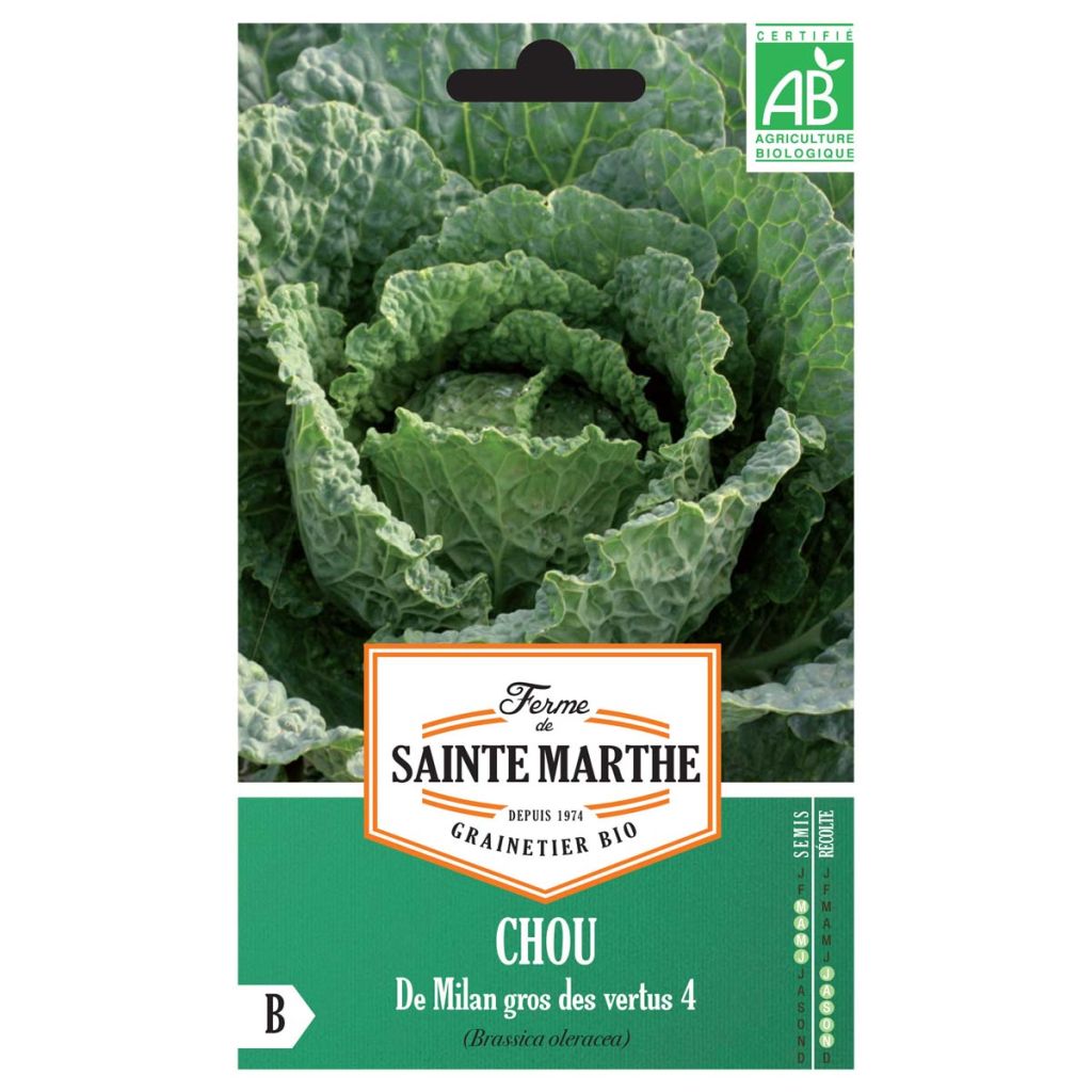 Wirsing Große Tugenden (Gros Des Vertus 4) Bio - Ferme de Sainte Marthe