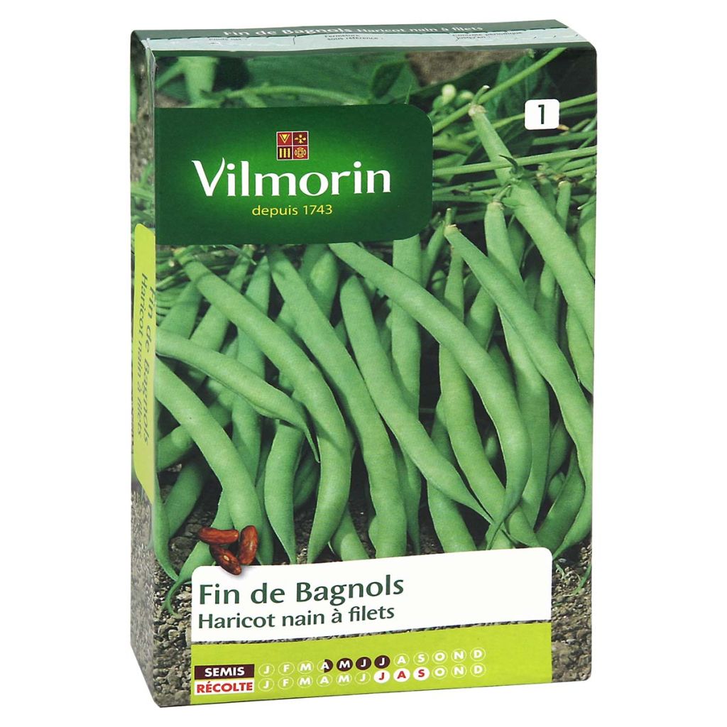 Zwergbohne Fin de Bagnols - Vilmorin