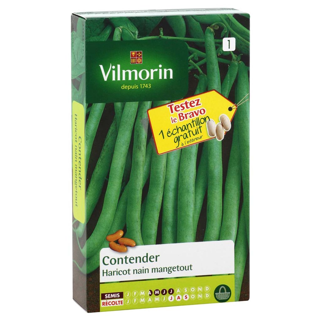 Zwergbohne Contender - Vilmorin