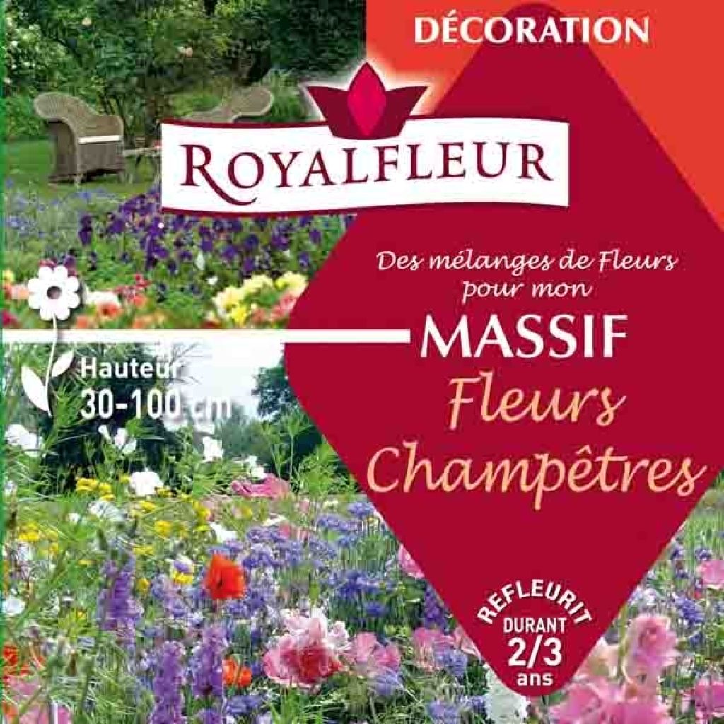 Mischung für Wildblumenbeet - 25 m2-Box
