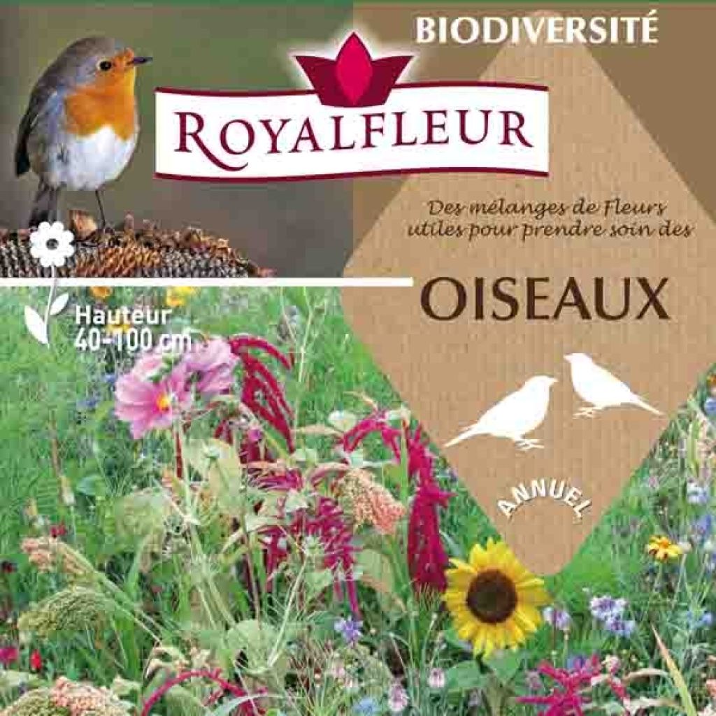Vogelfutter-Mischung - 100 m2 Box