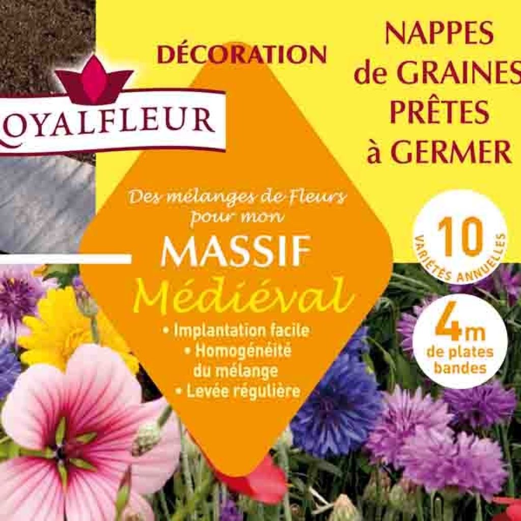 Mischung für mittelalterliches Blumenbeet - Blütenteppich
