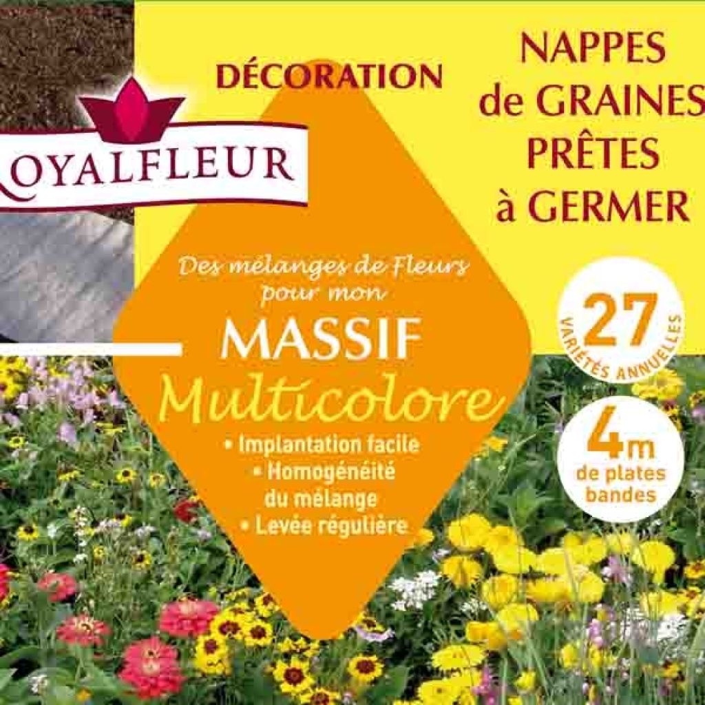 Bunte Blumenmischung für Beete - Teppich