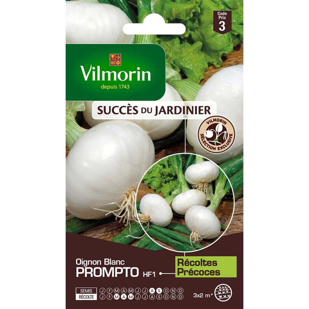 Weiße Zwiebel Prompto F1 - Vilmorin