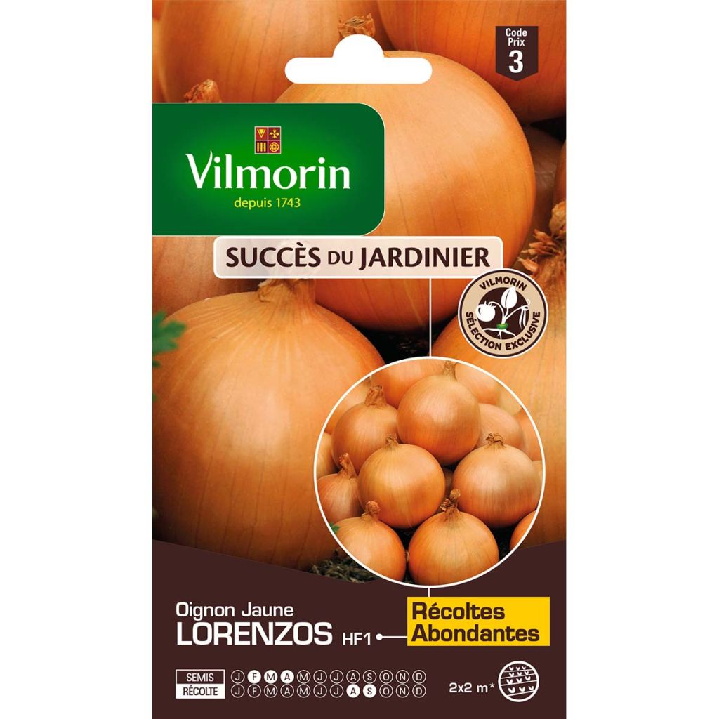 Zwiebel Lorenzos - Vilmorin