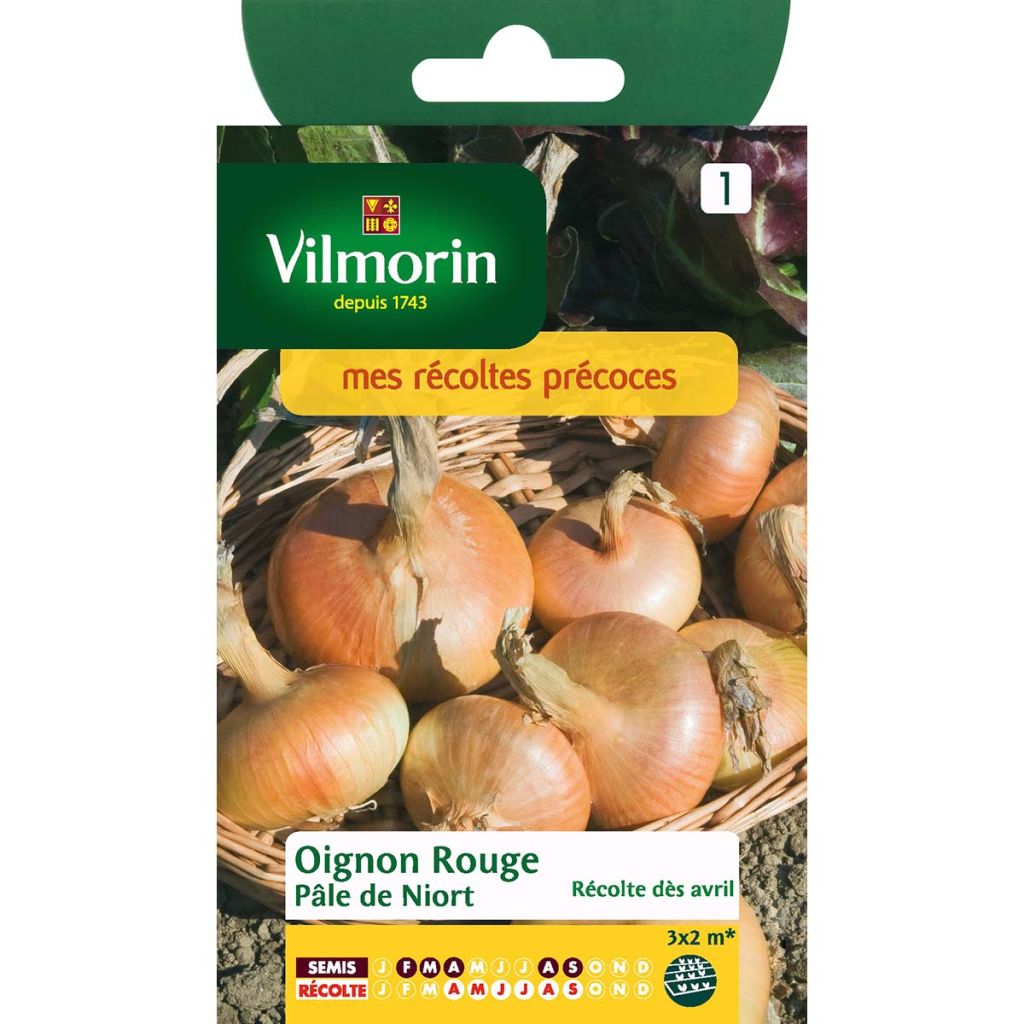 Speisezwiebel Pâle de Niort - Vilmorin