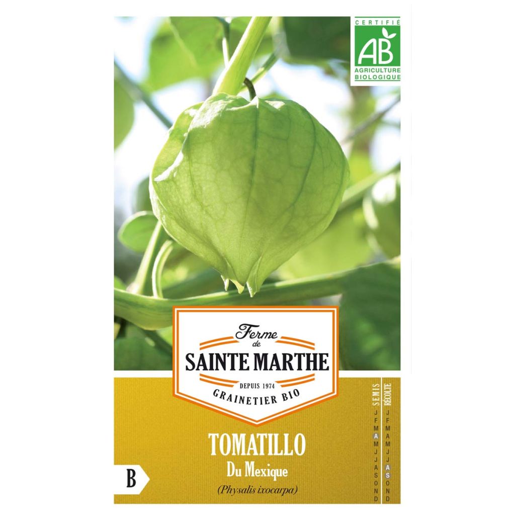 Tomatillo - Physalis ixocarpa