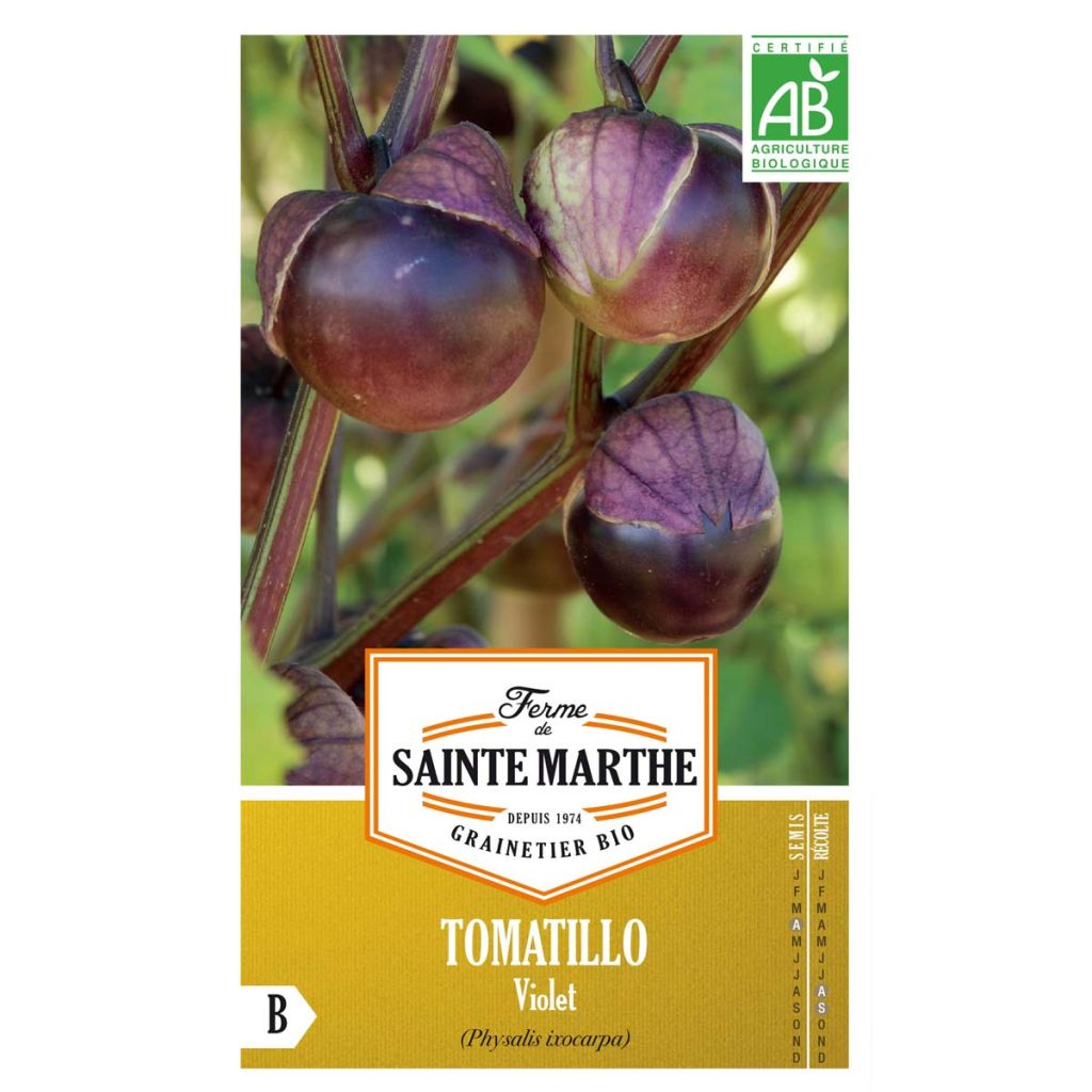 Tomatillo - Ferme de Sainte Marthe - Physalis ixocarpa