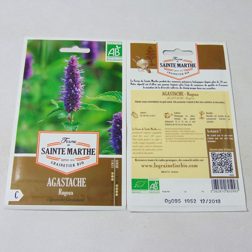 Beispiel eines Exemplars von Agastache rugosa - Duftnessel die Tüte mit 150 Samen (0.095g) wie geliefert