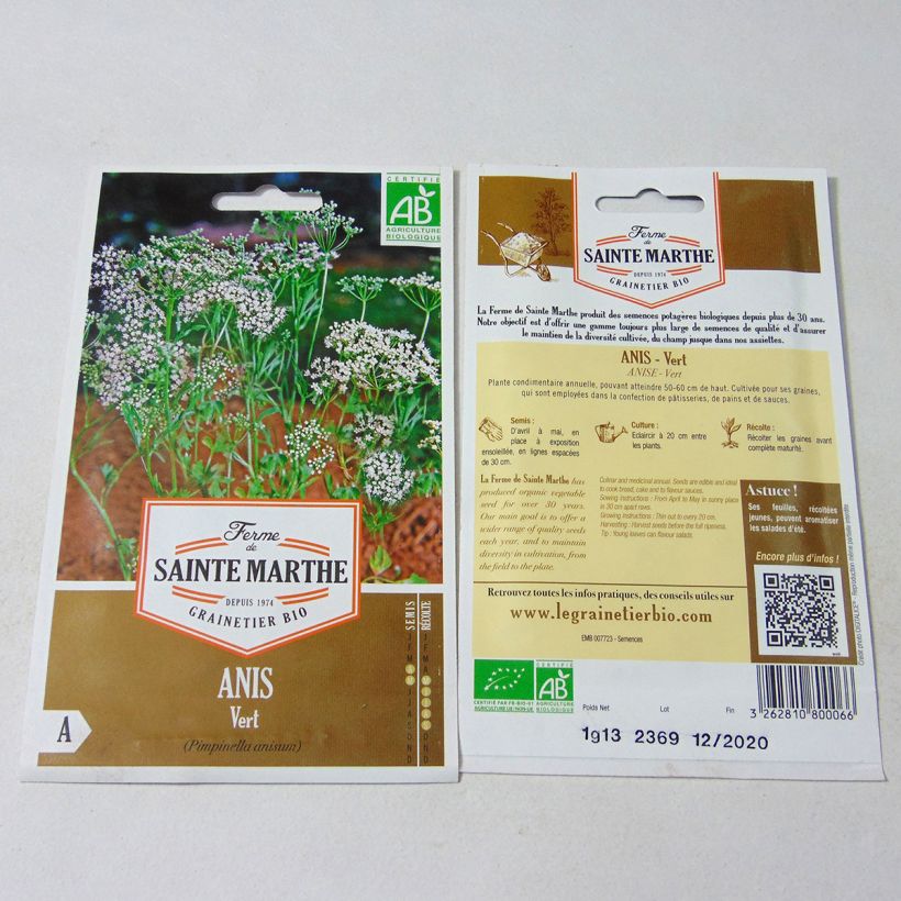 Beispiel eines Exemplars von Anis Bio - Pimpinella anisum die Tüte mit 500 Samen (1g) wie geliefert