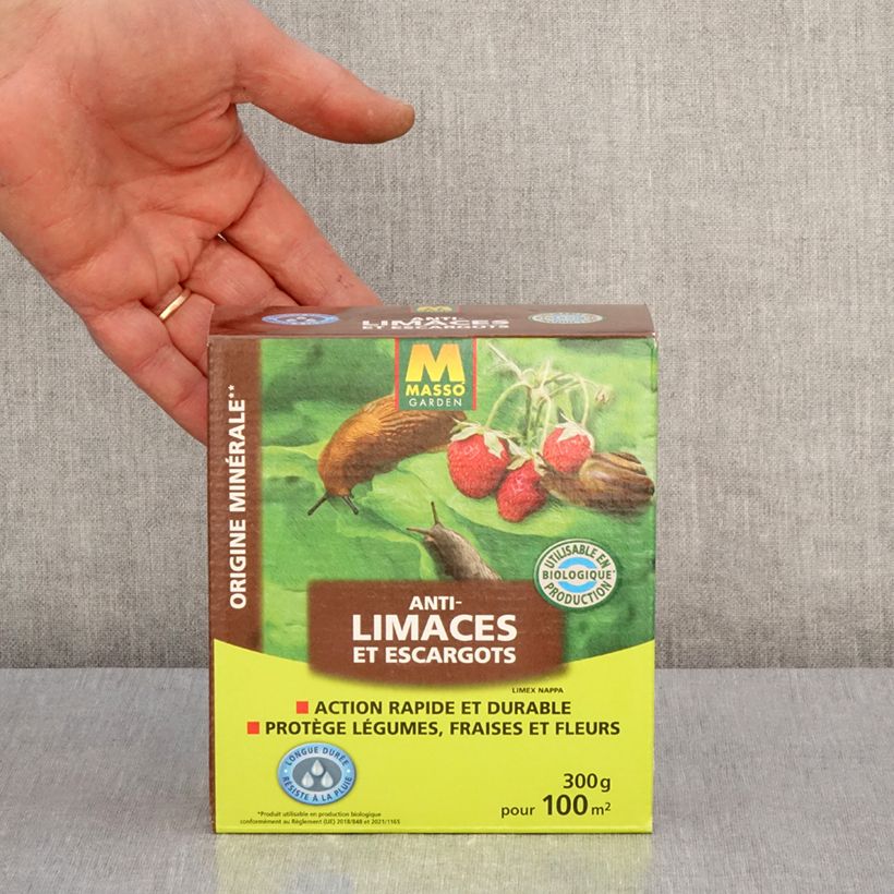 Beispiel eines Exemplars von Schneckenkorn und Schneckenkorn UAB Masso Garden Box wie geliefert