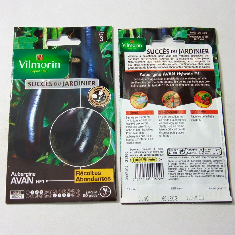 Beispiel eines Exemplars von Aubergine Avan F1 - Vilmorin die Tüte mit 50 Samen (0.4g) wie geliefert
