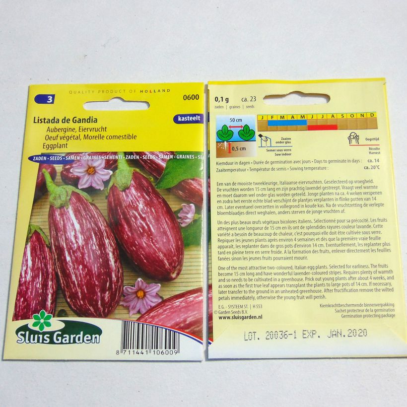 Beispiel eines Exemplars von Aubergine Listada de Gandia die Tüte mit 200 Samen (1g) wie geliefert