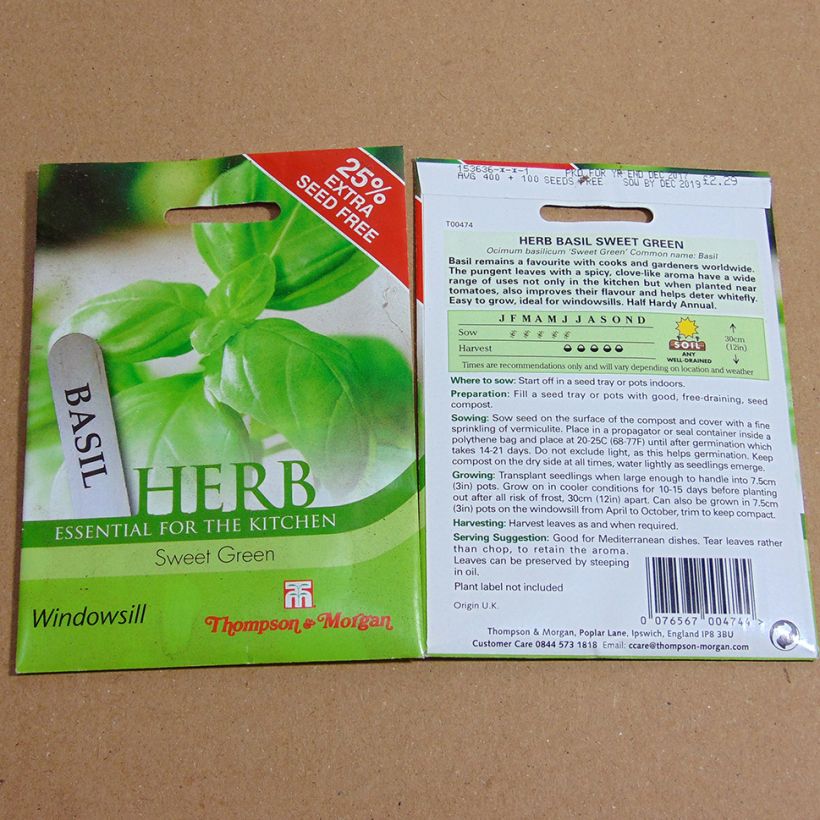 Beispiel eines Exemplars von Basilikum Sweet Green - Ocimum basilicum die Tüte mit 400 Samen wie geliefert