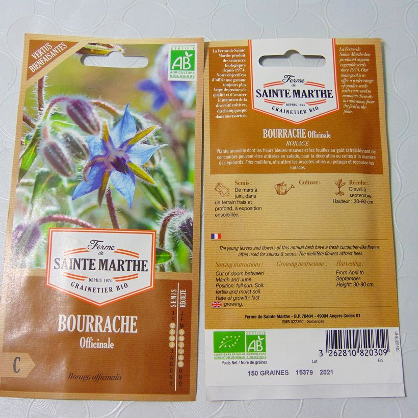 Beispiel eines Exemplars von Borretsch Alba Bio - Borago officinalis die Tüte mit 50 Samen wie geliefert