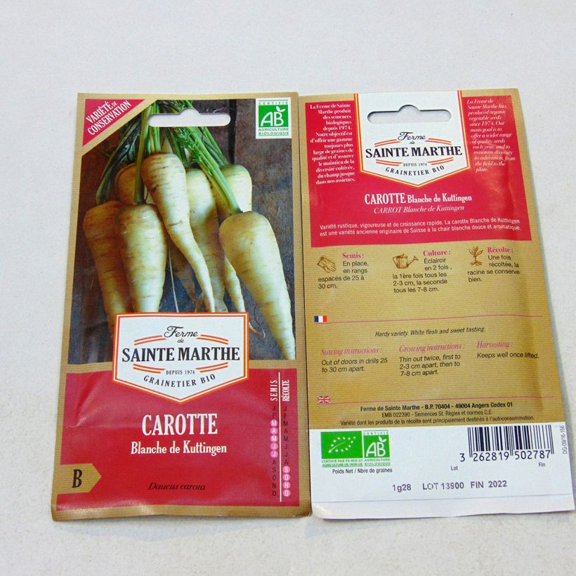 Beispiel eines Exemplars von Möhre Blanche de Küttingen Bio die Tüte mit 500 Samen (1.35g) wie geliefert